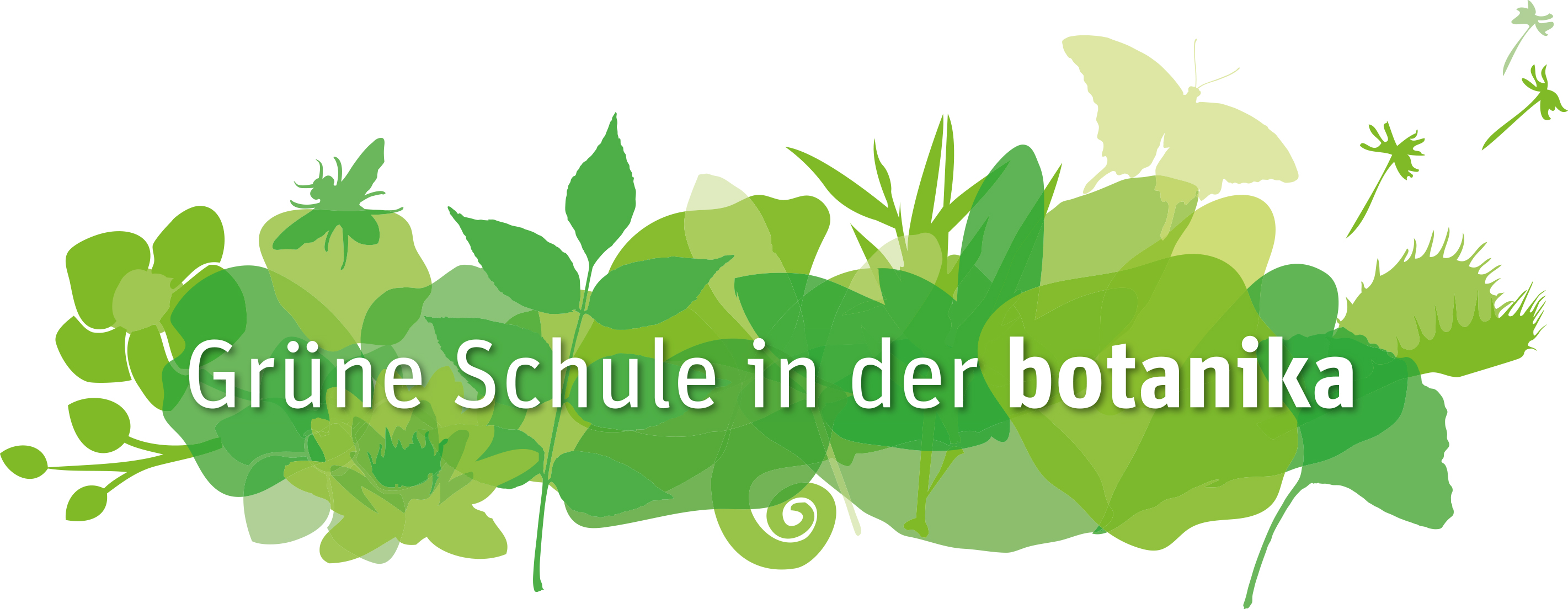 Kinder forschen in Bremer Kitas